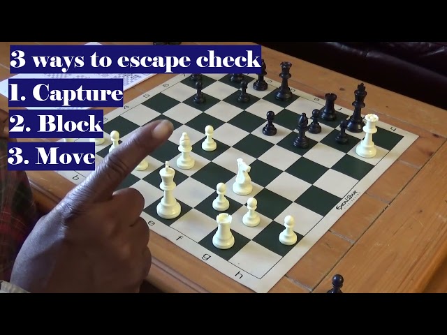 How to Check Mate. Check with no capture, block, nor move,,,,= Mate