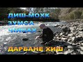 ДАРБАНЕ ХИШ. ДИШ-МОХК.ЗУМСА.ЧIИНАХ