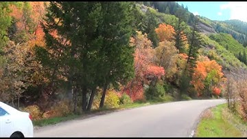 Fall Colors on the Uinta-Wasatch-Cache National Forest