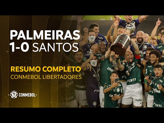 Palmeiras 1-0 Santos: Copa Libertadores - result, goals, summary - AS USA