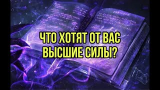 Что хотят от вас Высшие Силы?