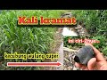 Kali kramat || kecubung wulung || fosil kristal || gems hunter|| ying || batu akik