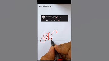 @nitishacrafts ❤️ #nitisha #artofwriting21 #calligraphy #cursive #name #shorts #satisfying