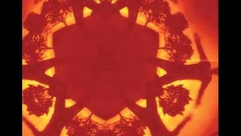 Boards of Canada - Dandelion(Reversed)