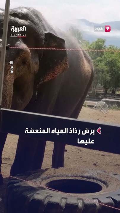           
 - نشر قبل 9 دقيقة