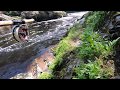 River Findhorn Salmon fishing 2020 Darnaway Upper home beat