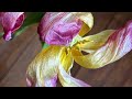What reminds you of the abundance of here and now?