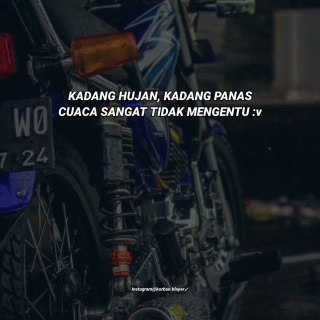 vidio history wa||