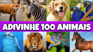 ADIVINHE o Animal em 3  segundos | Só 1% acerta tudo | Adivinhe o Animal #1 | #QuizDosGênios