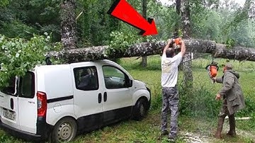 Idiots Tree Felling Fails with Chainsaw Machine - Tree Falls on Head and House