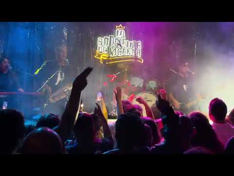 UPA - Ella Llora (Live) 2026