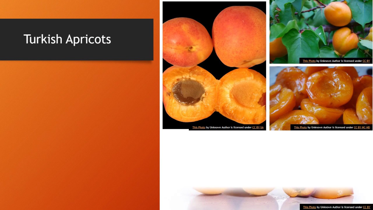 Turkish Apricots YouTube