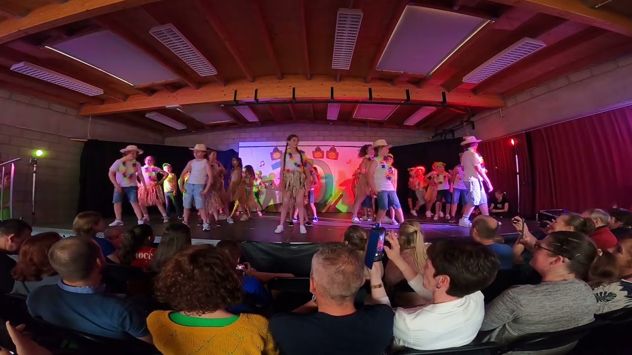 Schoolfeest - 10 om te zien - 2LS - 5LS