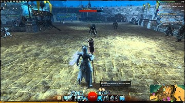 Guild Wars 2 Swiftness Bug