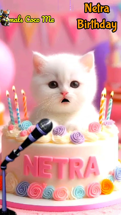 HAPPY BIRTHDAY TO YOU NETRA | HAPPY BIRTHDAY SONG WITH NAMES | Adorable Cute Cat 😺 #cat  #shorts