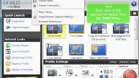 SnagIt Delay Feature