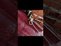 шотик про записку от строителей