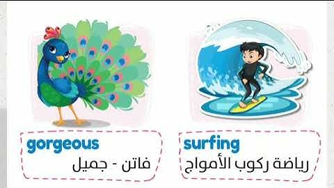 connect plus 5 | unit 5 lesson 6