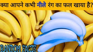 Interesting random facts in hindi | Random facts | Amazing facts | रोचक तथ्य |