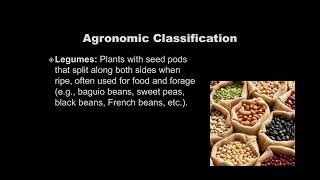 Classification of Crops | Crop Science (Licensure Exam for Agriculturist)