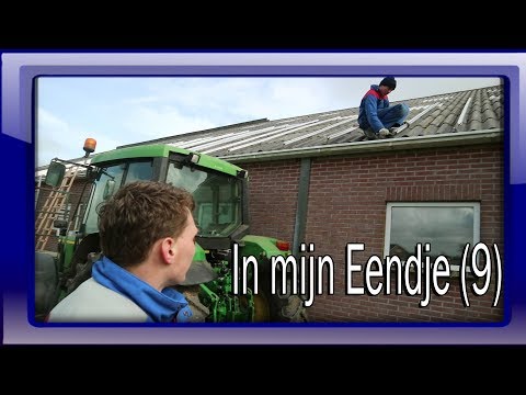 Watjes, lammetjesshoarma en nog meer honger -  In mijn eendje (9)