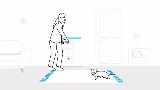 How to set up your home for a new cat | The Battersea Way