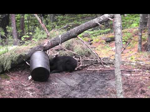 B Bar C Outfitters Reviews