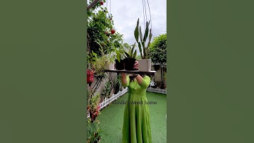 Easy Vertical Gardening #diy #hangingrack #creativeideas #homegarden #sunilassweethome