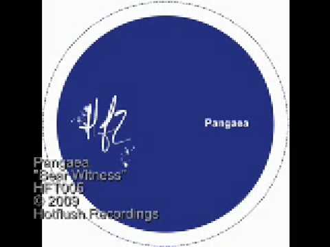 Pangaea - Bear Witness - HFT005