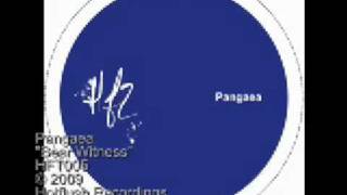 Pangaea - Bear Witness - HFT005