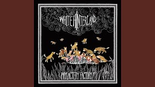 Watch White Hinterland Lindberghs  Metal Birds video