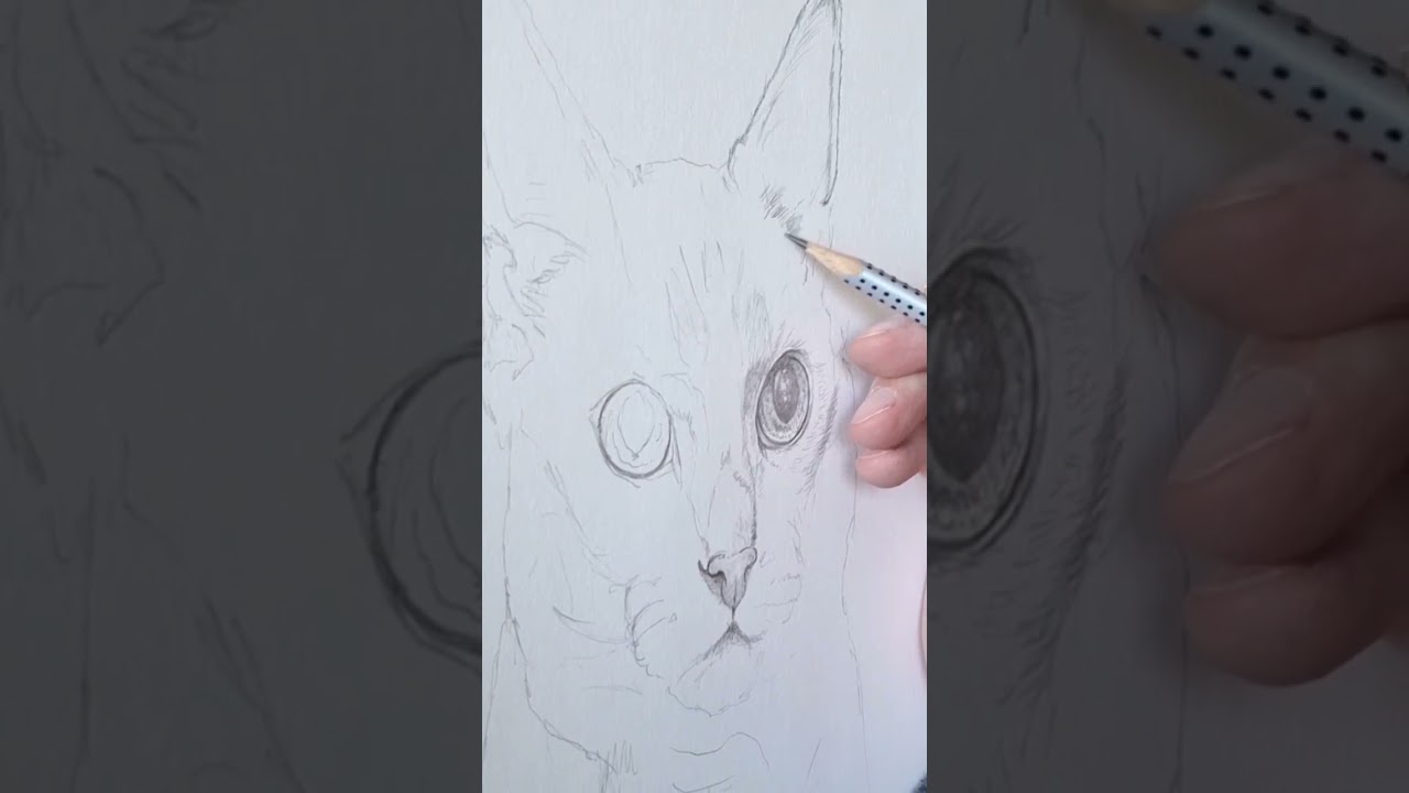 Oktober: Dierenportretten