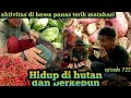 panas matahari menyengat kulit kami saat beraktifitas di perkebunan warta petani muda hidup di hutan