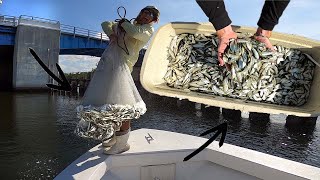 CAST NETTING MILLIONS of  BAIT FISH…. I couldn’t lift the net