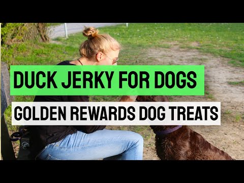 Видео: Bailey’s Choice Dog Treats нь тахианы Jerky амттанг эргүүлэн татах боломжийг өргөжүүлдэг