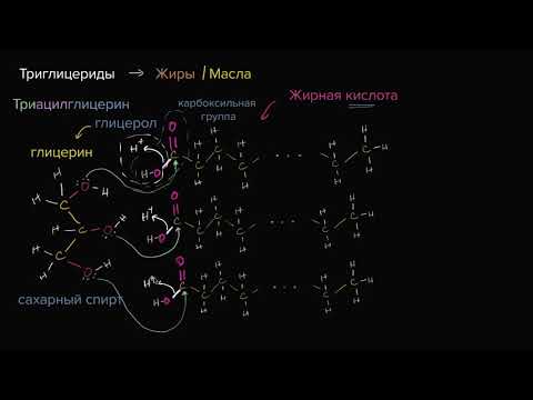 Молекулярная структура триглицеридов (жиров) (видео 5)| Макромолекулы | Биология