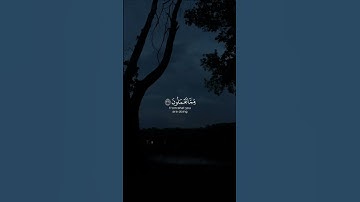وأنذر عشيرتك الأقربين * وإخفض جناحك لمن إتبعك من المؤمنين | سورة الشعراء | سعود الشريم