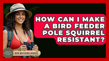 How Can I Make A Bird Feeder Pole Squirrel Resistant? - Bird Watching Diaries