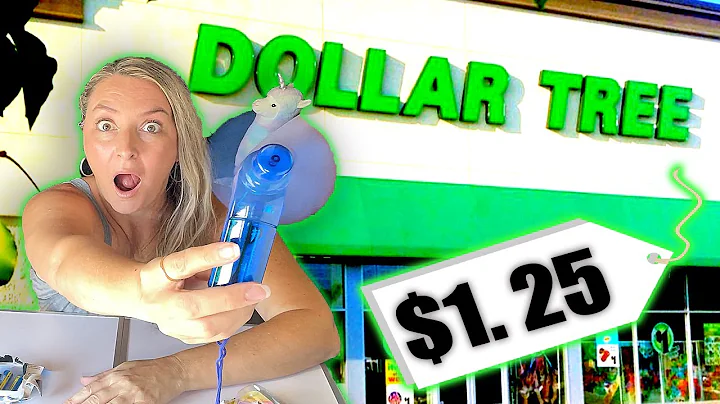 5 WILD Dollar Tree Products You've Gotta See in Se...