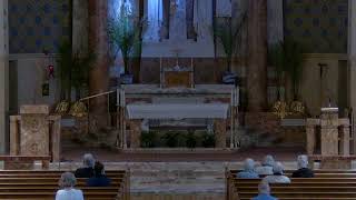 St. Paul the Cross Live Stream