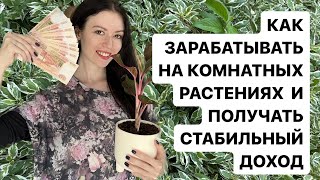 💰 БЫСТРО ПРОДАЛА РАСТЕНИЯ НА АВИТО// ЗАРАБАТЫВАЕМ НА КОМНАТНЫХ РАСТЕНИЯХ ДОМА