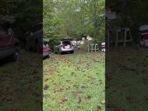 Beautiful Morning Beekeeping Honeybees Bee Nature