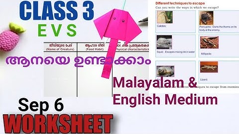 Class 3 Evs Worksheet September 6/Itsvicters Worksheet/ Teaching Corner By Safna