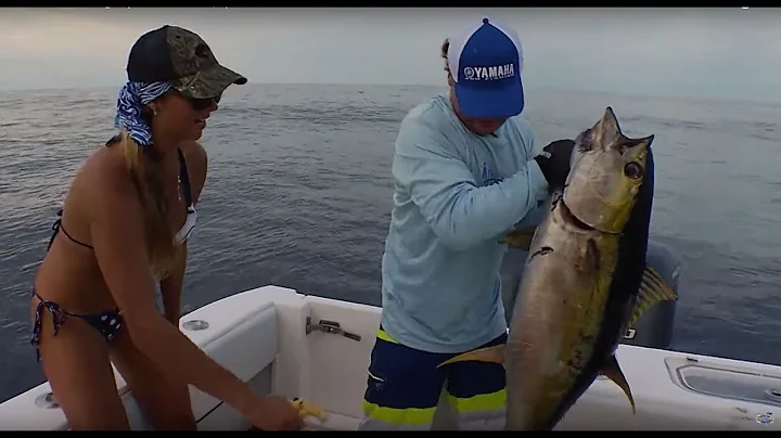 BEST BILLFISHING IN THE WORLD - Marlin - 2019 | FI...