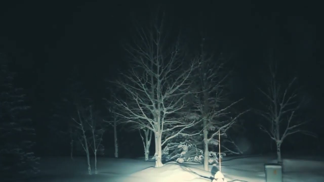 The Quiet Moment You Accept That This Is It