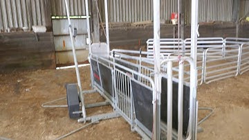 2014 Alligator Mobile Sheep Handling System