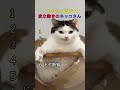 感情が顔に出すぎるネッコさんTOP6