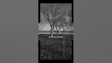 Restart, Reset and Refocus #unitedstates #shorts