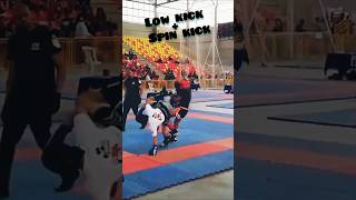 Mastering Low Kick Spin Kick