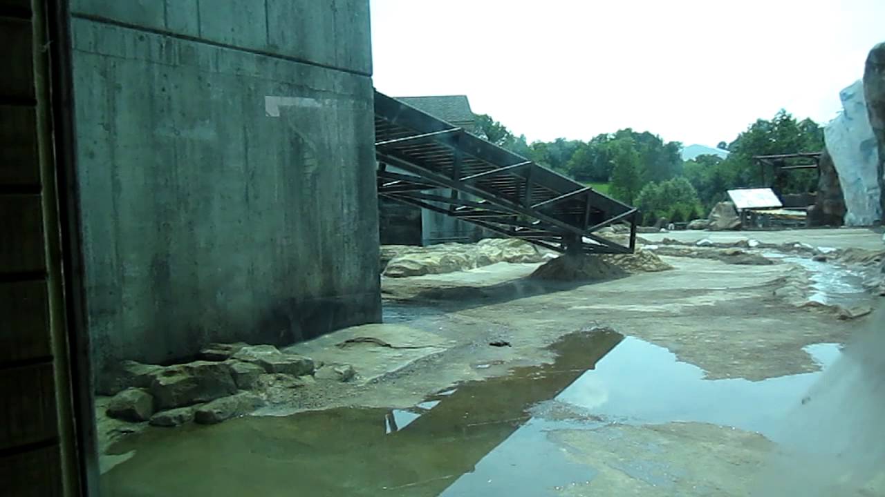 Louisville zoo polar bear moon walking! - YouTube